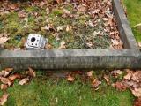 image of grave number 616870